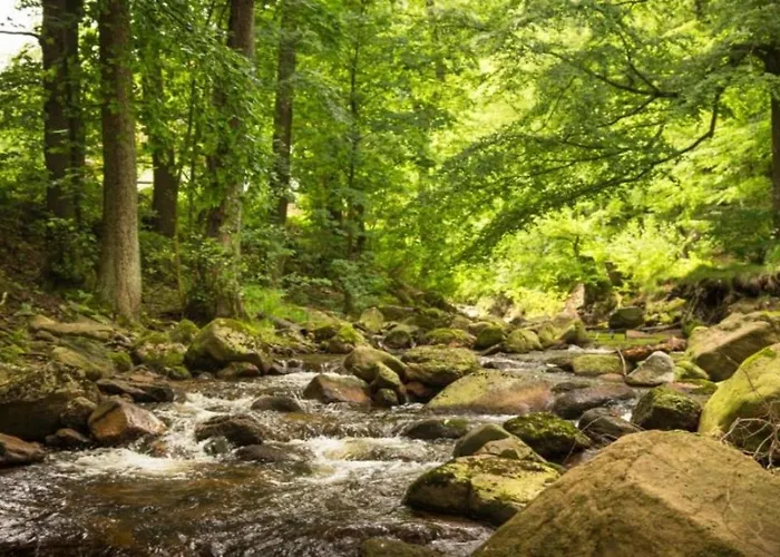 Nexoe 25 Qm, 1 Wohn-schlafzimmer N7 Semesterbostad